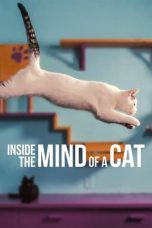 Nonton Film Inside the Mind of a Cat (2022)